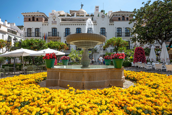 Search Local - Estepona